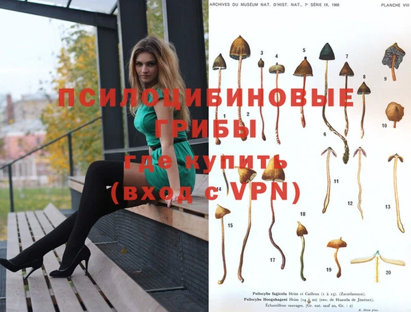 MDMA Алексеевка