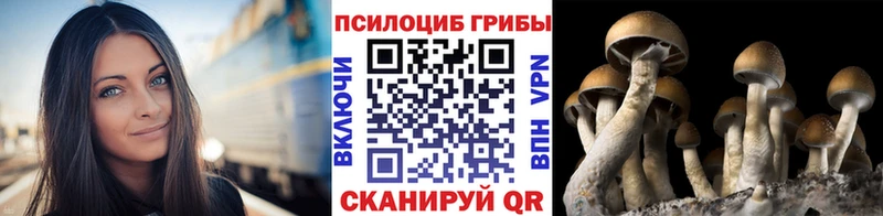 Галлюциногенные грибы Magic Shrooms  продажа наркотиков  Троицк 