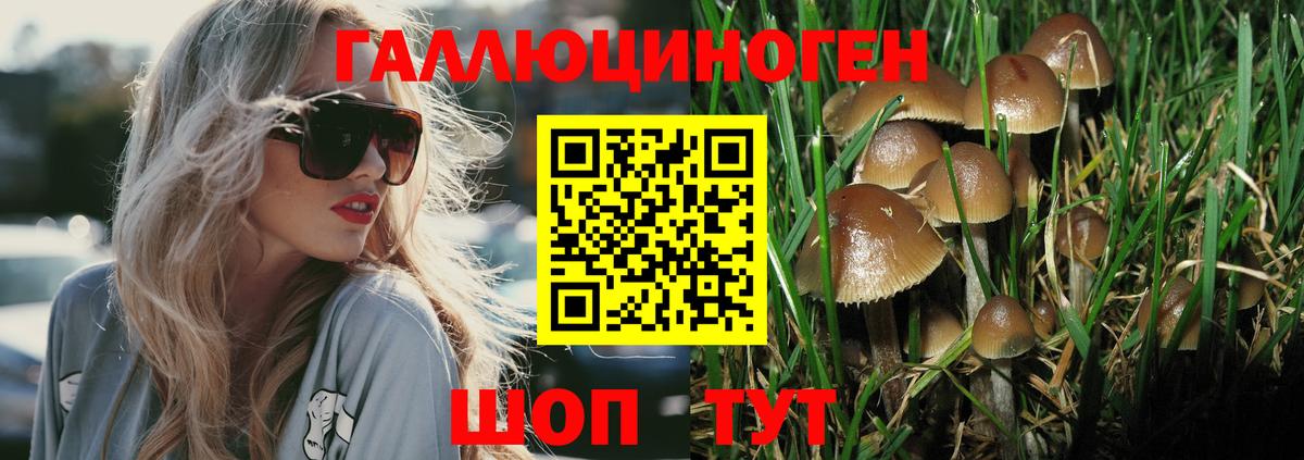 Троицк  Галлюциногенные грибы Magic Shrooms  Псилоцибиновые грибы Magic Shrooms  Вход с VPN 